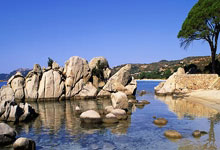 英冠南安普敦vs普雷斯顿最新情况如何？